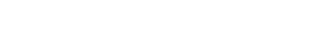 logoVersion